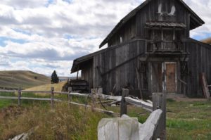 Bucking Horse Pavilion Barn